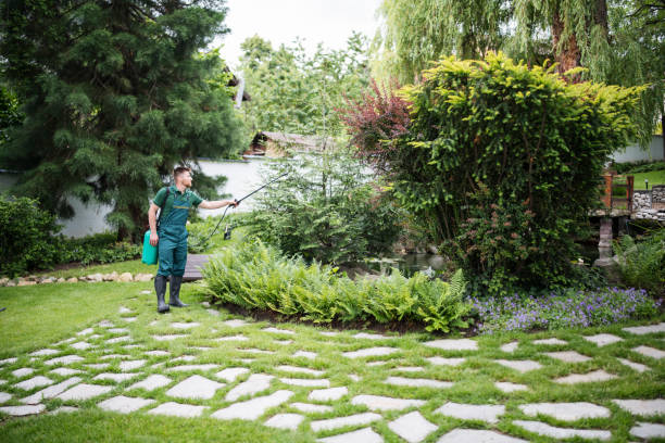 Best Lawn Disease Treatment  in Keego Harbor, MI